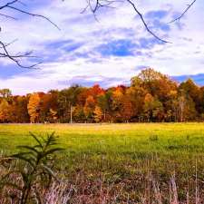 Erie Wind Stables | 24782 Silver Clay Line, West Lorne, ON N0L 2P0, Canada