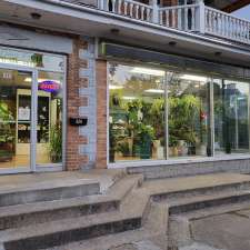 Fleuriste Reine des Fleurs | 626 Ave Royale, Québec City, QC G1E 1Y7, Canada