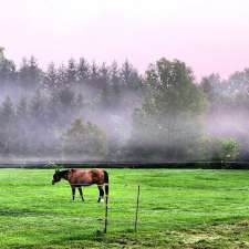 Blue Farm Stables Inc. | 24599 Thomson Line, West Lorne, ON N0L 2P0, Canada