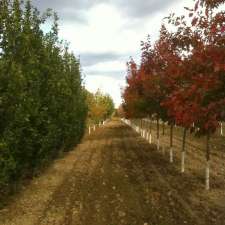Pine Corner Tree Farm Inc. | 7016 Wellington County Rd 109, Moorefield, ON N0G 2K0, Canada