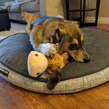 Pet Planet Newcastle | 16961 127 St NW, Edmonton, AB T6V 0T1, Canada