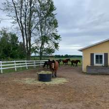École d'équitation ÉquiTeam | 2895 Rang Saint-Jacques, Saint-Jacques, QC J0K 2R0, Canada
