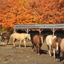 Ranch Winslow | 920 QC-161, Le Granit, QC G0Y 1N0, Canada