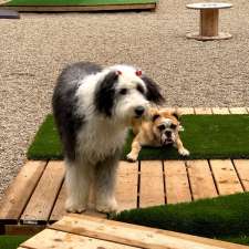 The Bark Club NB | 325 Whites Settlement Rd, Cocagne, NB E4R 3P4, Canada