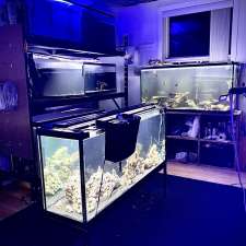 AQUAPrédateurs | 1221 Rue de l'Esplanade, Québec, QC G3J 1E9, Canada