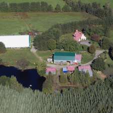 Ferme Royal Amadeus | 1071 Rue Saint-Aimé, Saint-Lambert-de-Lauzon, QC G0S 2W0, Canada