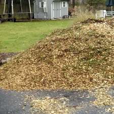 Chip It Guy Brush Chipping & Stump Grinding | 12459 Sixth Line Nassagaweya, Acton, ON L7J 2L7, Canada