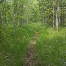 Chaumont Barrens Nature Preserve | 29924 Van Alstyne Rd, Chaumont, NY 13622, USA