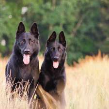 MB K9 | 34 Eastern Ave, Acton, ON L7J 0B2, Canada