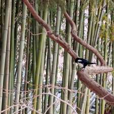 Eastern Spirit Acupuncture and Traditional Chinese Medicine | Shediac Cape, NB E4P 3J3, Canada