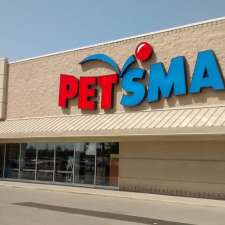 petsmart cambridge adoption