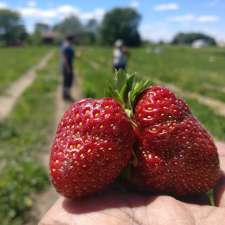 Ferme Michel Meunier | 600 Rang Saint Édouard, Saint-Jean-sur-Richelieu, QC J2X 5T9, Canada