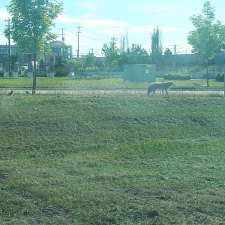 Poplar District Park | 8403 167 Ave NW, Edmonton, AB T5Z 0B3, Canada