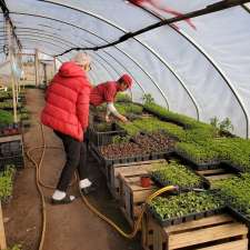 Korean Vegetable Farm | 8576 Guelph Line, Milton, ON L0P 1B0, Canada