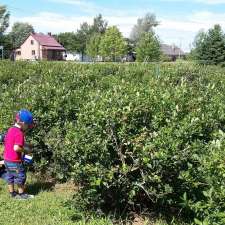 La Ferme Lareault | 260 Rang St Charles, Saint-Thomas, QC J0K 3L0, Canada