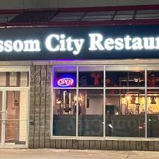 Blossom City Millcroft | 2080 Appleby Line Unit E9, Burlington, ON L7L 6M6, Canada