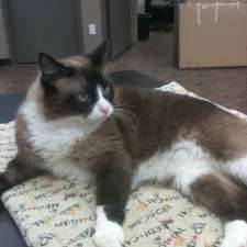 Gateway Pet Hospital Kitchener 4391 King St E Kitchener On N2p