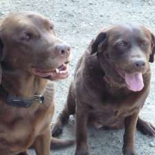 Westland Veterinary Hospital | 3871 17 Ave SW, Calgary, AB T3E 0C3, Canada