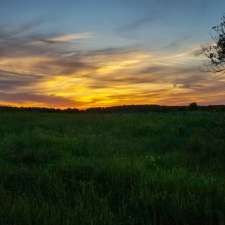 French Creek Wildlife Management Area | Clayton, NY 13624, USA