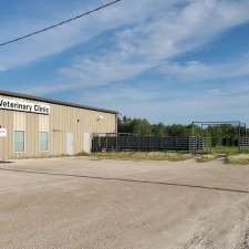 Ste Rose Veterinary Clinic | 15 Tucker St, Sainte Rose du Lac, MB R0L 1S0, Canada
