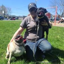 Éducation QuébecDog | 271 rang, Chem. Roxham, Saint-Bernard-de-Lacolle, QC J0J 1V0, Canada