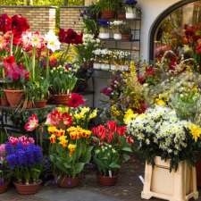 Bunches Flower Co. Namao Centre | 16648 95 St, Edmonton, AB T5Z 3L2, Canada