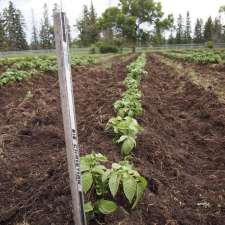 Edmonton Organic Growers Guild | 118 St NW, Edmonton, AB T6H 4P2, Canada