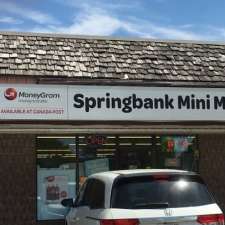Springbank Mini Mart & Video Southcrest Postal Outlet | 360 Springbank Dr, London, ON N6J 1G5, Canada