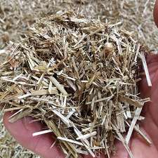 Empire Switchgrass | 5274 Derry Rd, Burlington, ON L7M 0R6, Canada