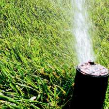 Green Zone Irrigation ltd | 331 King St E, Bolton, ON L7E 3J8, Canada
