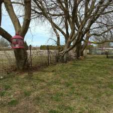 Nourishing Hearts | 21907 Queens Line, Rodney, ON N0L 2C0, Canada