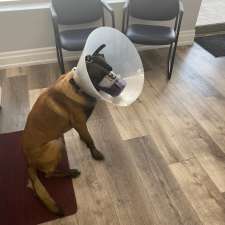 Parkside Animal Hospital | 115 Hamilton St N Unit 2, Waterdown, ON L8B 1A8, Canada
