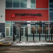 Thirsty Camel | 9080 25 Ave SW, Edmonton, AB T6X 2H4, Canada