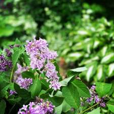 Flor gardens | Fourth Line Nassagaweya, Rockwood, ON N0B 2K0, Canada