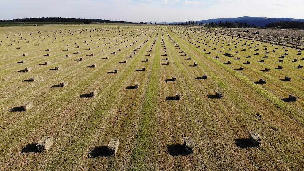 Blackwell Hay Farms | 50127 Township Rd 280, Alberta T4C 2X3, Canada | Phone: (403) 850-4395