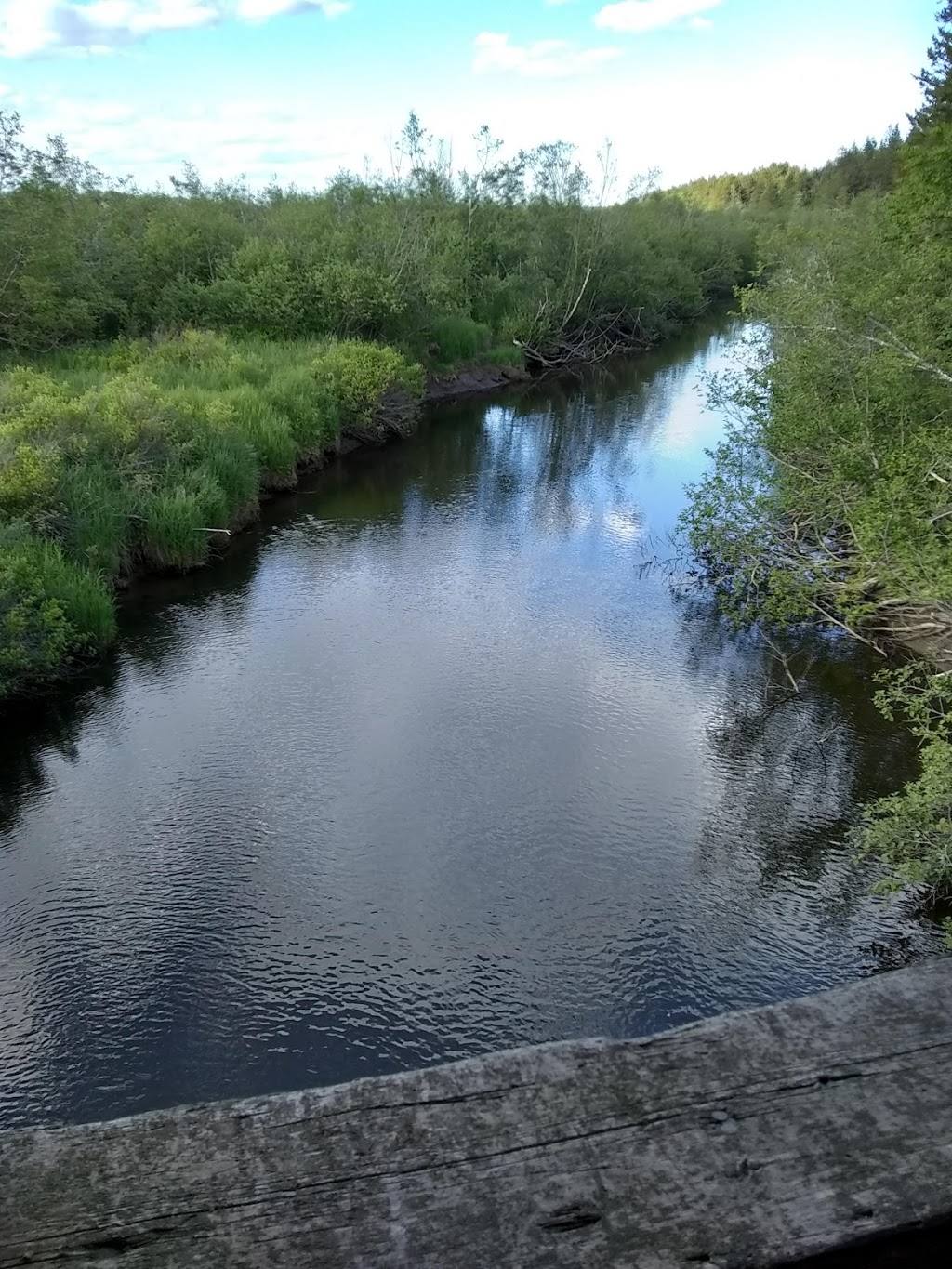 Shepody National Wildlife Area | NB-114, Riverside-Albert, NB E4H 2J9, Canada | Phone: (506) 882-2544