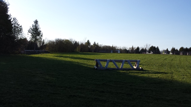 Sunnymead Farm | 1060 Frank Hill Rd, Omemee, ON K0L 2W0, Canada | Phone: (705) 760-5741
