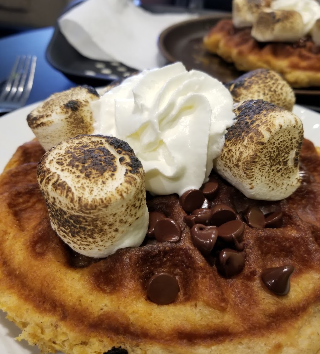 Munchies Coffee House & Barkery | 1000 Upper Gage Ave #4, Hamilton, ON L8V 4R5, Canada | Phone: (905) 389-6067
