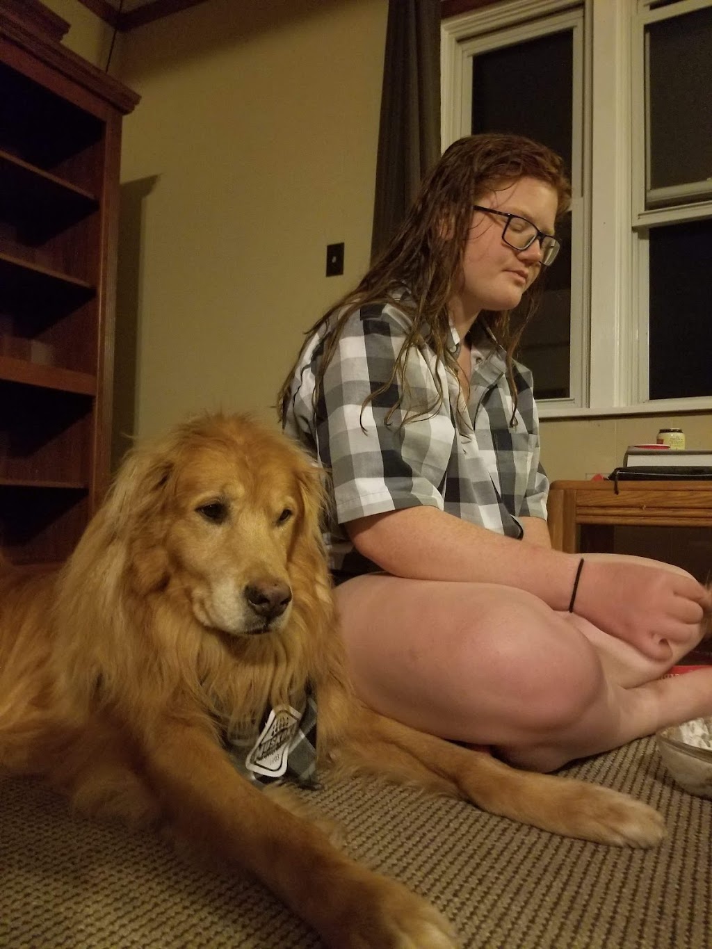 Danas Dog Care | Hobson Rd, Central Elgin, ON N5P 3S6, Canada | Phone: (226) 374-4921
