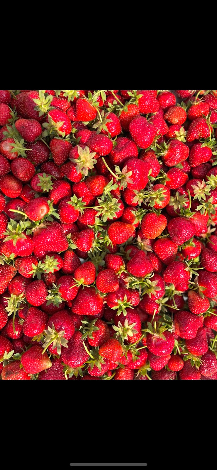 Marché Mcbain | 2126 Bd Valcartier, Saint-Gabriel-de-Valcartier, QC G0A 4S0, Canada | Phone: (581) 307-9143