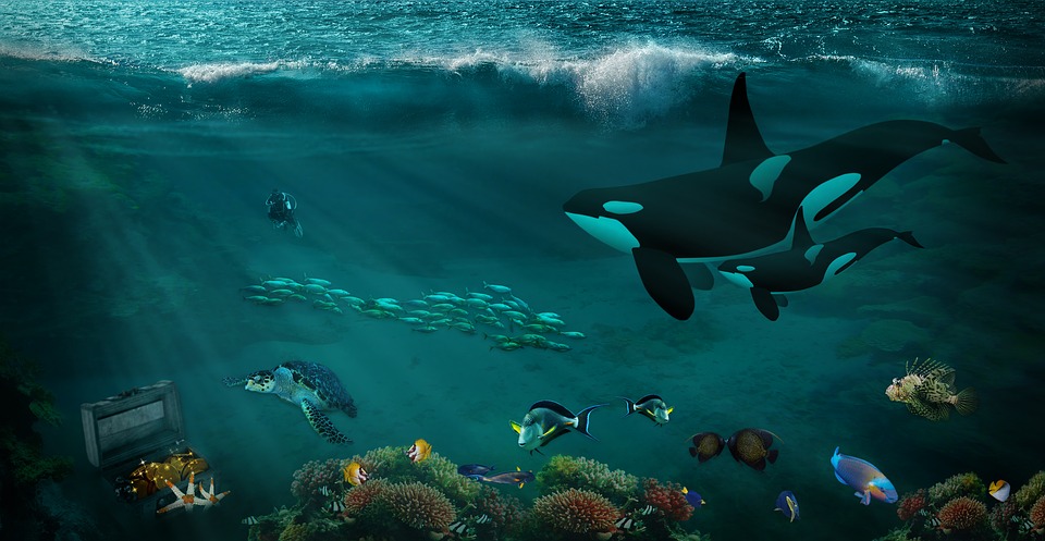 Living Reef Memorial CANADA | 1A2, 17 Gatacre St, Ladysmith, BC V9G 1A1, Canada | Phone: (250) 252-0476