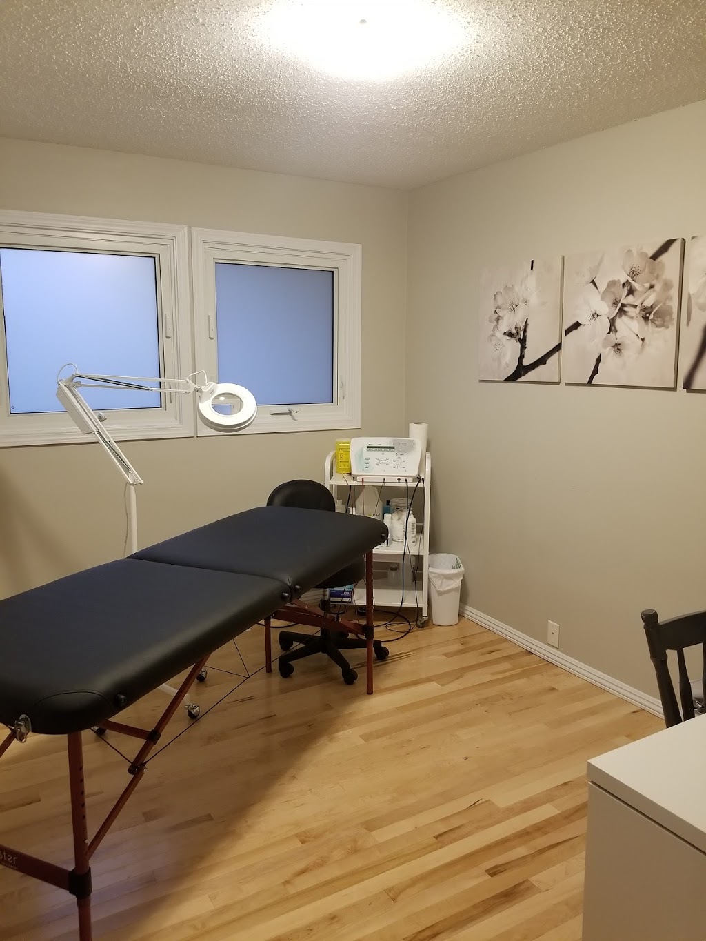 Electra Permanent Hair Removal | 2116 Cumberland Ave S, Saskatoon, SK S7J 1Z3, Canada | Phone: (306) 220-6683