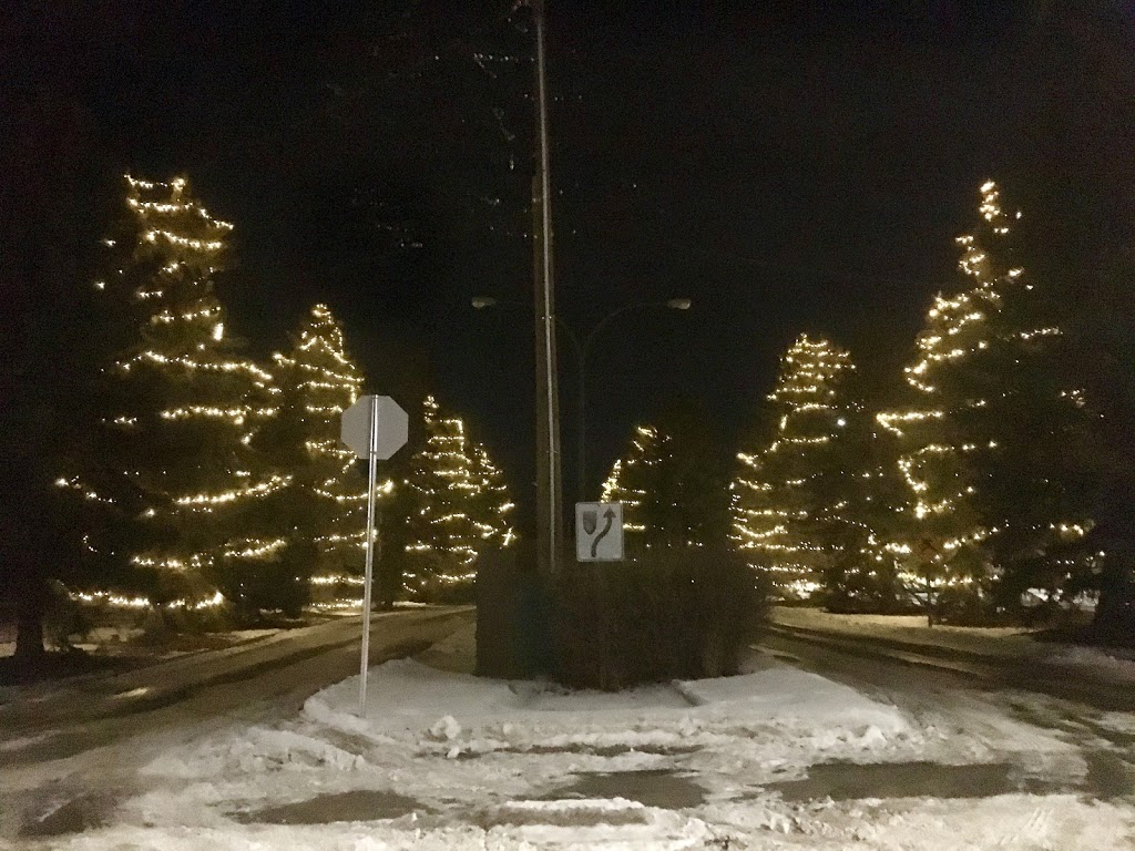 Ridge Park | Currie Barracks, Calgary, AB T3E 7J6, Canada