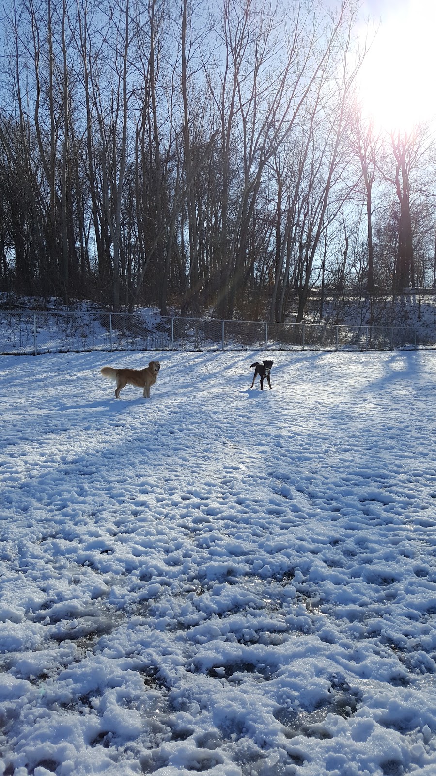 Leash Free Pelham Dog Park | 1671 Centre St, Ridgeville, ON L0S 1M0, Canada