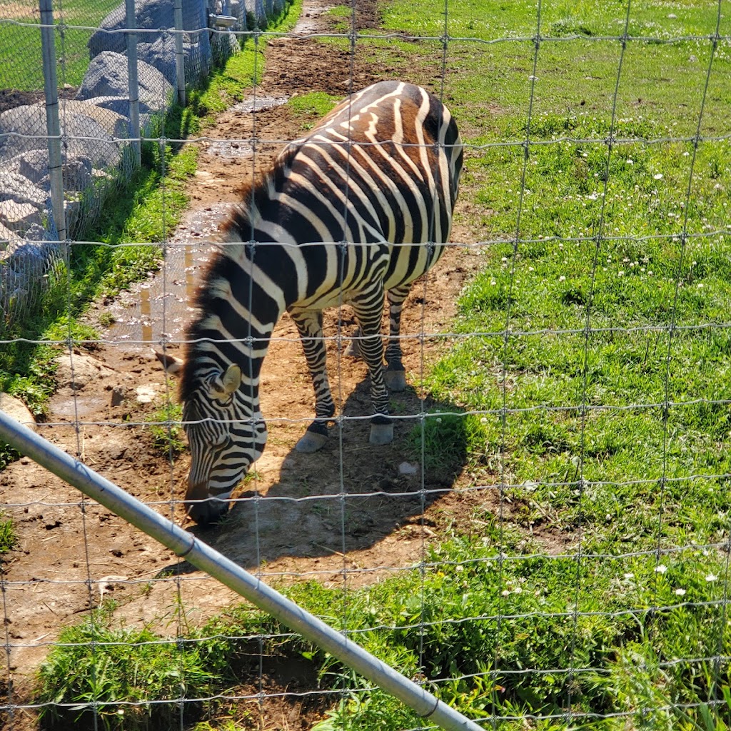 Zoo Falardeau | 309 2e Rang, Le Fjord-du-Saguenay, QC G0V 1C0, Canada | Phone: (418) 673-4602