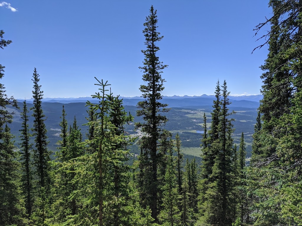 Coliseum Mountain Staging Area | Clearwater County, AB T0M 2H0, Canada | Phone: 310-0000