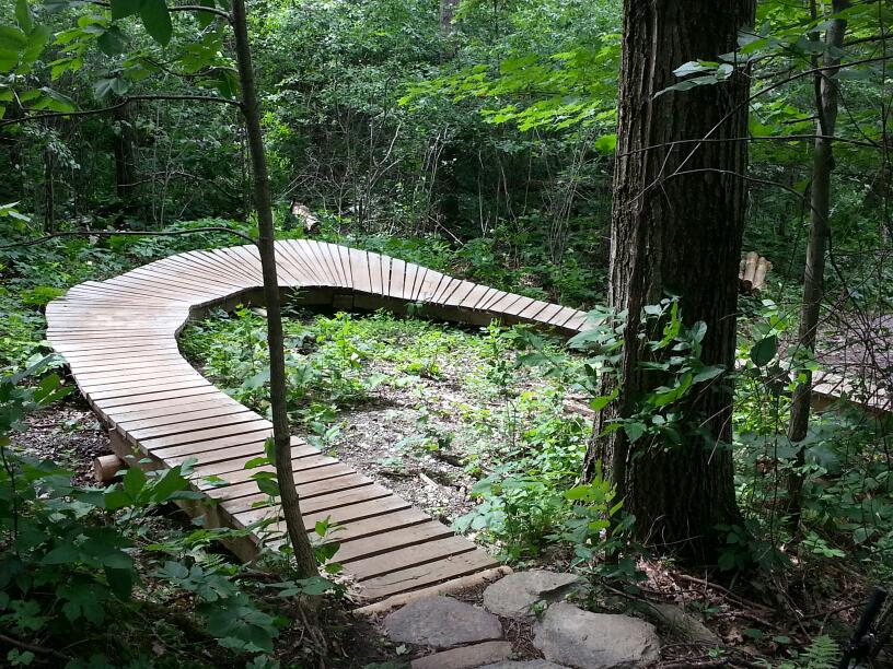 Durham Regional Forest | Concession Rd 7, Uxbridge, ON L9P 1R4, Canada | Phone: (905) 852-0095