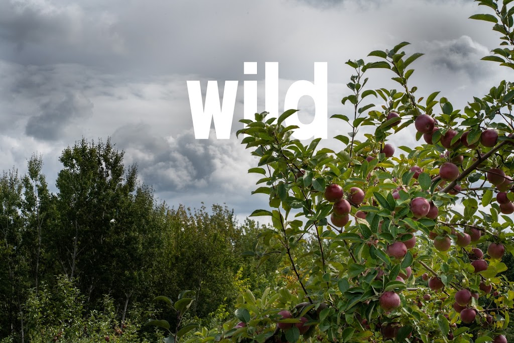 WILD | 2 Crocker Rd, Kingston, NS B0P 1R0, Canada | Phone: (902) 321-0150