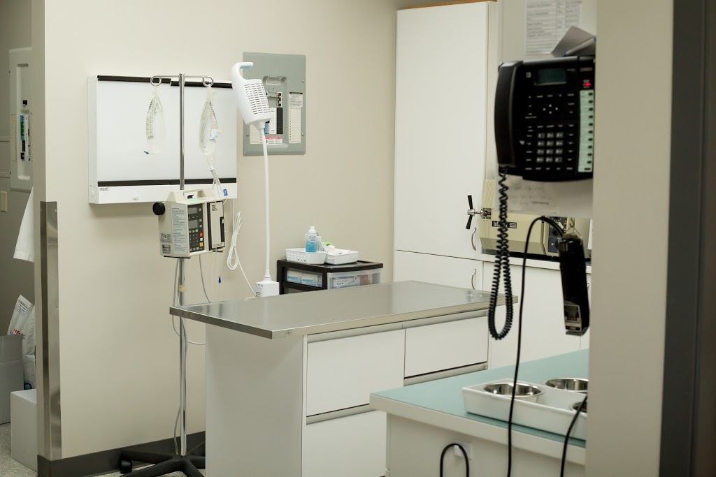 Madeira Park Veterinary Hospital Ltd | 12890 Madeira Park Rd, Madeira Park, BC V0N 2H0, Canada | Phone: (604) 883-2488