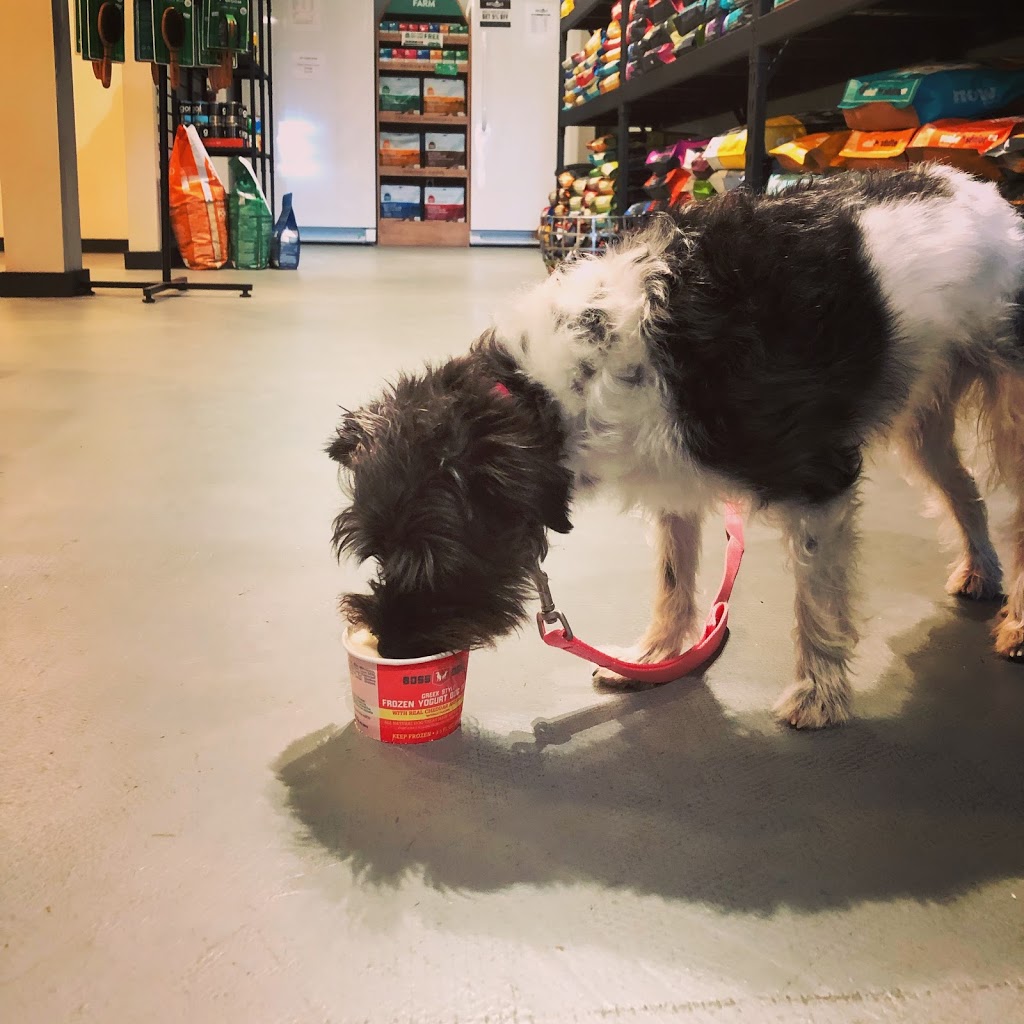 Lucky Paws Pet Supply and Dog Wash | 4485 Trans-Canada Hwy, Duncan, BC V9L 6L8, Canada | Phone: (250) 597-3647